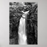 Waterfall in the Rainforest Poster