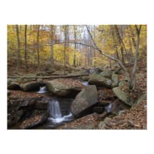 Waterfall on the Black River - Scenic NJ Photo