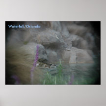 Waterfall/Orlando Print