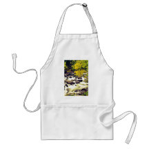 Waterfall W/ Fall Coloured Trees Apron