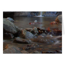Waterfalls Streams Rocks Greeting Cards