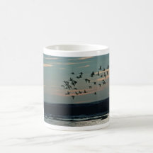 Waterfowl, Arctic National Wildlife Refuge Mugs