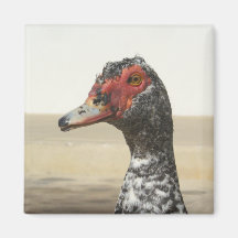 Waterfowl Magnet 001