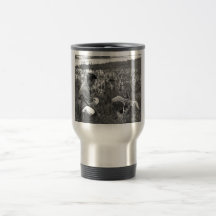 Waterfowl Survey Coffee Mugs