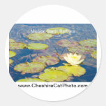 Waterlilies Mission Santa Barbara CA Products Stickers