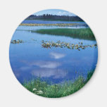 Watson Lake in Summer Refrigerator Magnets