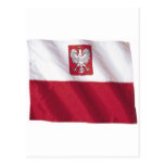 Wavy Poland Flag Post Cards