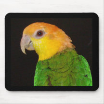 WBC Mousepad
