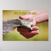We Bridge The Gap Posters