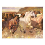 We have Moving Moved Horses Mustangs on the Move Announcement
