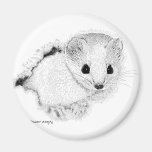 Weasel Refrigerator Magnet