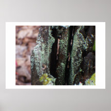 Weathered Post in Detail Poster