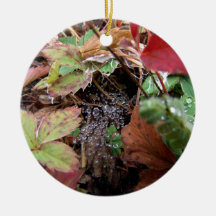 Web of Dewdrops Ornament
