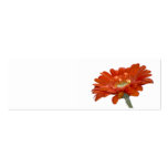 Wedding Place Name Card - Orange Daisy Gerbera Business Card