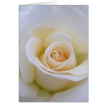 Wedding Rose Greeting Card