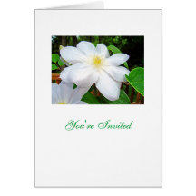 Wedding Shower Greeting Cards