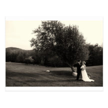 Wedding Thank you Postcards