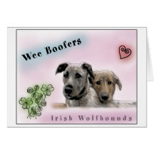 Wee Boofers - Irish Wolfhounds Greeting Cards