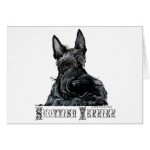 Wee Scottish Terrier Greeting Card
