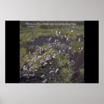 Weeds are flowers too poster
