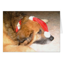 Weihnachten Hund Schäferhund Grußkarten