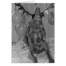 Weimaraner Birthday Greeting Card
