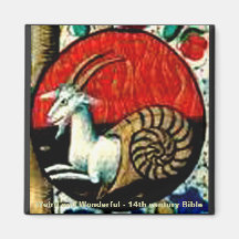 Weird and Wonderful Magnet