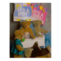 Welcome the new baby bear post cards