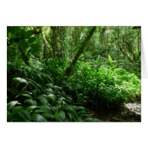 Welcome to the jungle! greeting cards