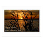 Well Creased Love Letter Post Card