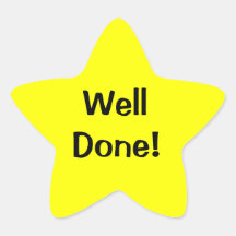 Well Done Star Stickers !