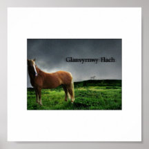 Welsh Section D Winner Print