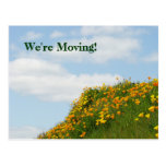 We're Moving! postcards Moved Notice Cards Poppies