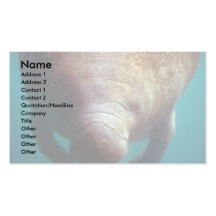 West Indian (Florida) Manatee-underwater Business Card Templates