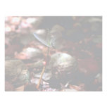 West Indian Mahogany Seedling Custom Invite