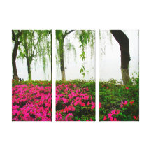 West Lake in Hangzhou, China Stretched Canvas Prin Canvas Prints