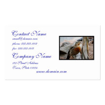 Western Capercaillie Business Card