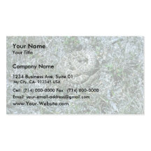Western Diamondback Rattlesnake Business Card