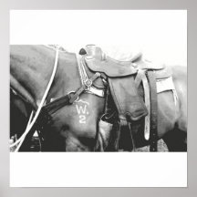 Western Horse Poster