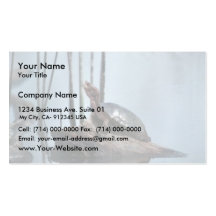 Western Pond Turtle Business Card Templates