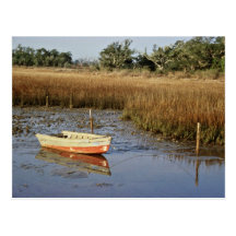 Wetland Myrtle Beach Postcards