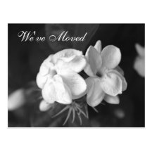 We've Moved Postcard
