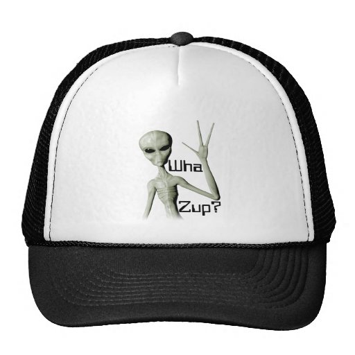 Wha Zup? Mesh Hat