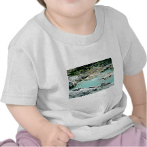 Whakarewarewa Thermal Area Tee Shirts