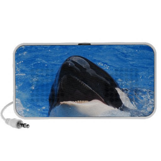 Whale Sounds Portable Speakers
