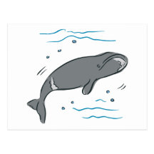 Whale Whales Marine Mammals Cetacea Ocean Art Post Card