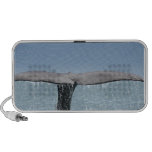 Whale's Tail Portable Speakers