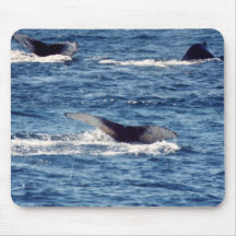 Whales Tails Mouse Pad