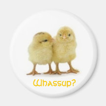 Whassup CHICK? Magnets