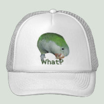 What? hats